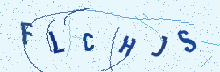 Security captcha